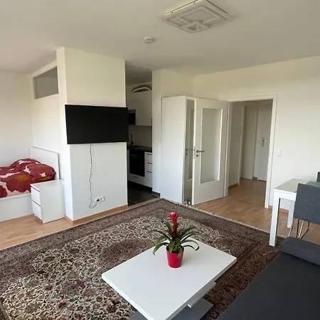 1,5 Zimmerwohnung In Heidelberg