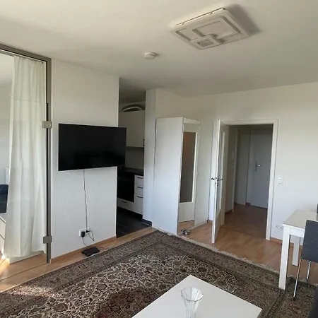 1,5 Zimmerwohnung In היידלברג